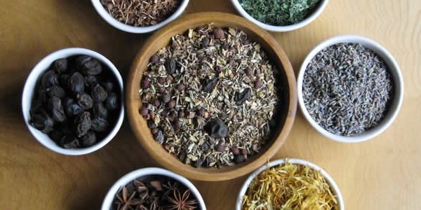 Ayurveda Wellness Coaching